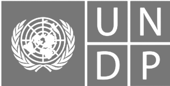 The-United-Nations--ProgrammeUNDP